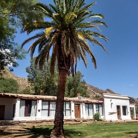 Hotel Hacienda Casa Blanca Tinogasta Eksteriør billede