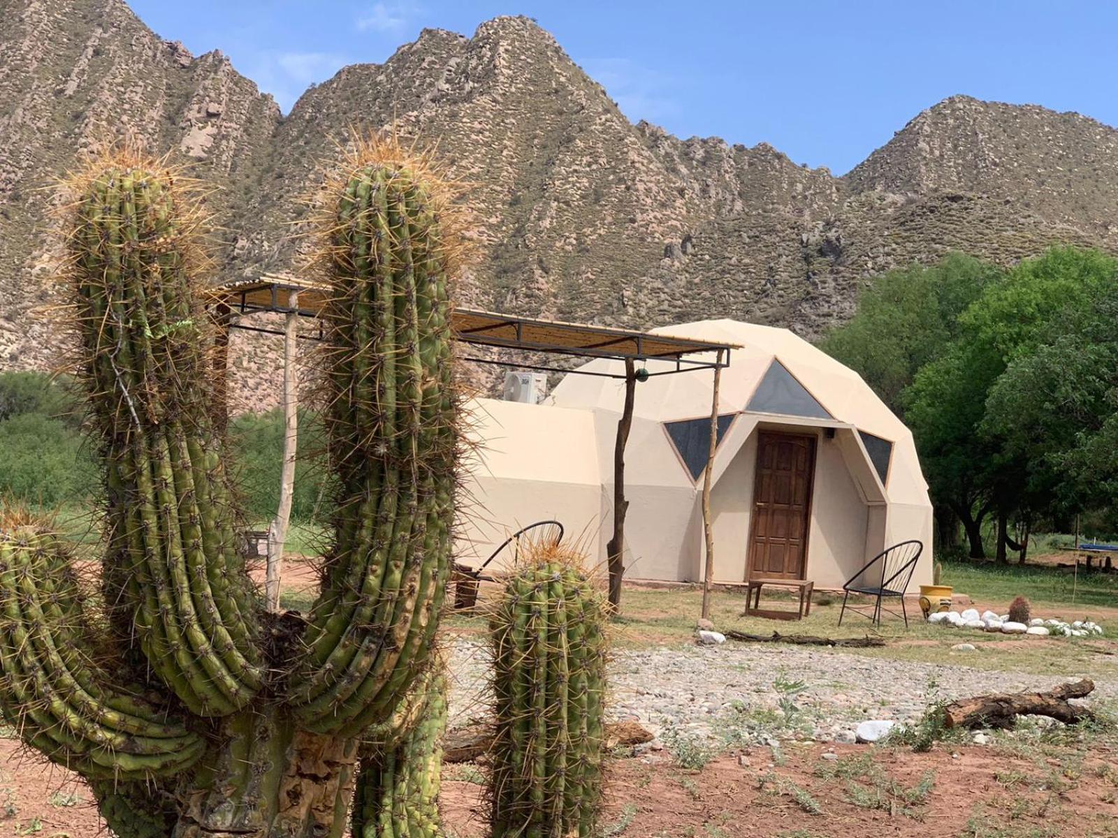 Hotel Hacienda Casa Blanca Tinogasta Eksteriør billede